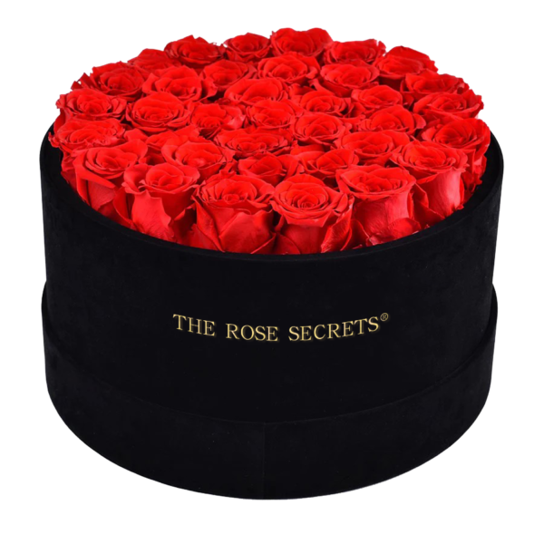 Classic Bordeaux Suede Box | Light Pink Roses