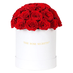 Suede Deluxedome Box | Red Roses