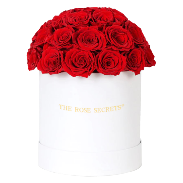 Suede Deluxedome Box | Red Roses